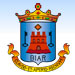 ayuntamiento biar